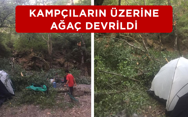 Kampçıların Üzerine Ağaç Devrildi! Kamp Kurarken Dikkat