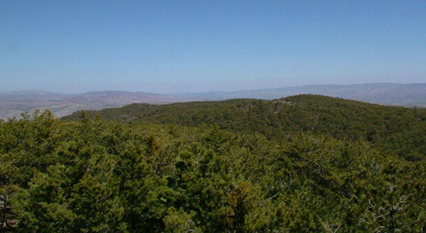 Beynam Atatürk Ormanı Kamp Alanı Hakkında Sıkça Sorulan Sorular