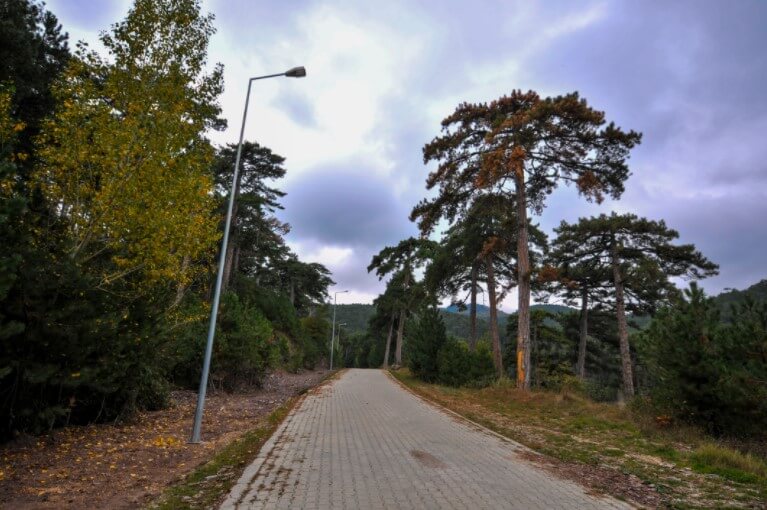 Çamlık Tabiat Parkı'nda Neler Yapılır?