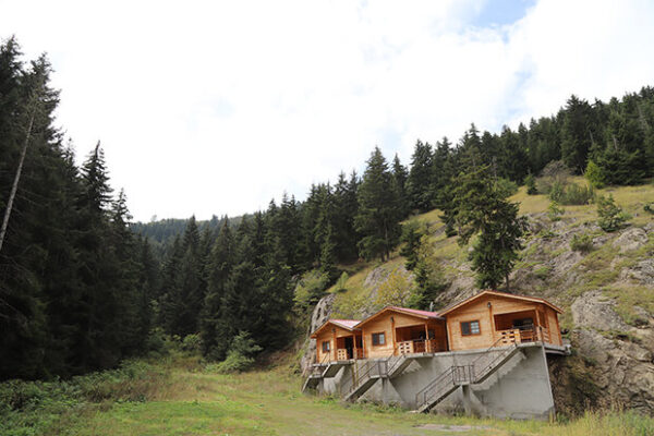 Green Valley Otel Bungalov Evleri Şavşat Artvin Kamp Yerleri