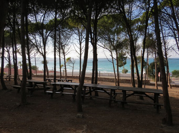 Tanay Tabiat Parkı Giriş Ücretleri