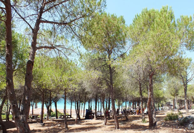 Tanay Tabiat Parkı İçerisinde Neler Yapılır?