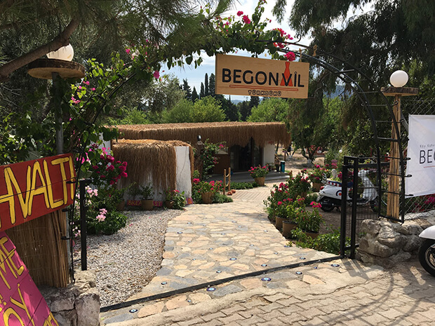Begonvil Türkbükü Kamp Yeri Ulaşım