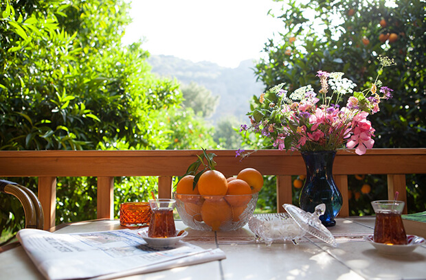 Ekinoks Hotel Hizmetleri