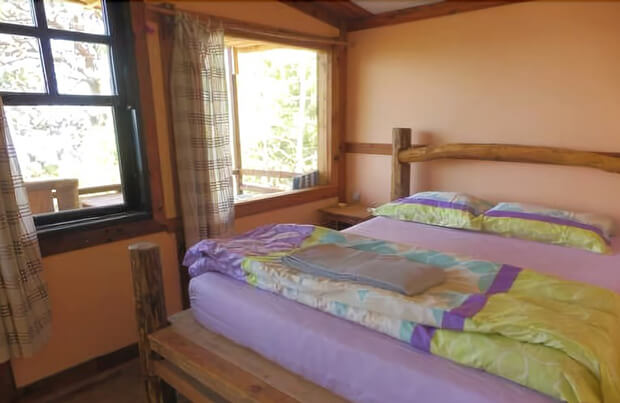 Honey Hill Faralya Bungalow Aktiviteleri