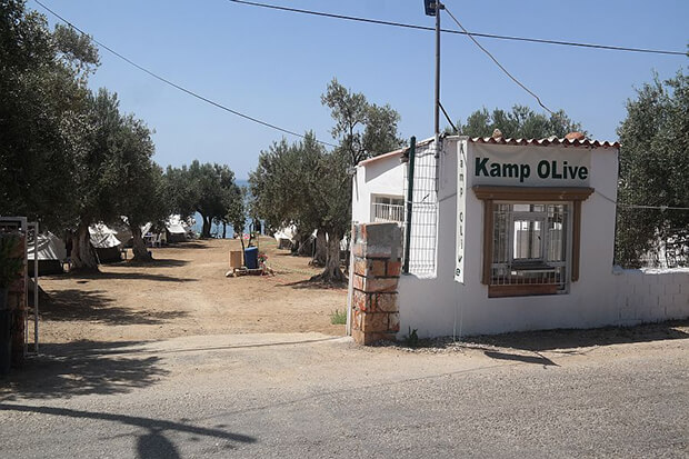 Kamp Olive İşletmesinde Yapabileceğiniz Aktiviteler