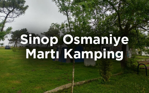 Sinop Kamp Yeri Önerisi: Martı Kamping