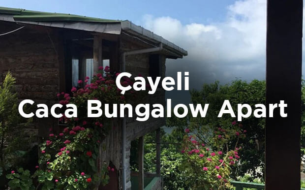 Çayeli Bungalov Önerisi: Caca Bungalow Apart