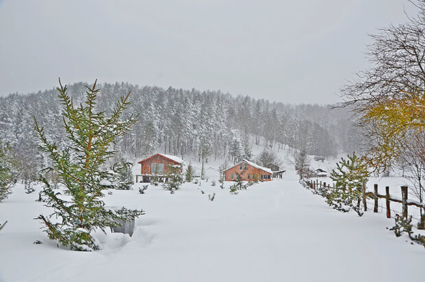 Cirit Camping Nerede? - Nasıl Gidilir?