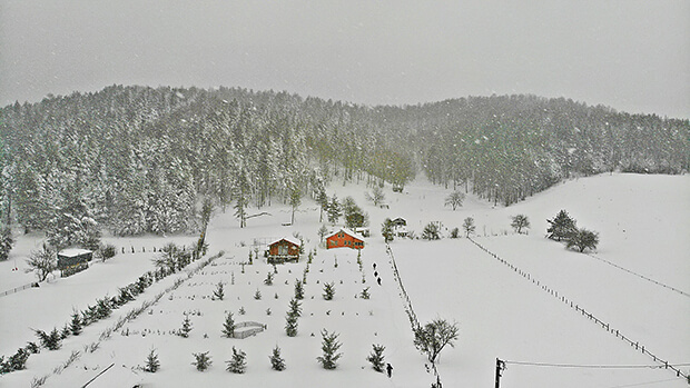 Cirit Kamping İşletmesi Hakkında Merak Edilenler