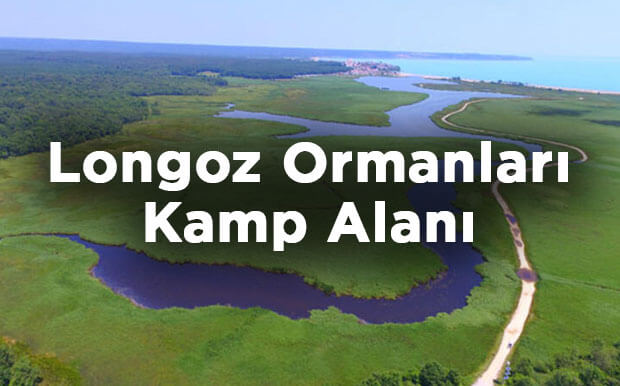İğneada Longoz Ormanları Milli Parkı Kamp Alanı