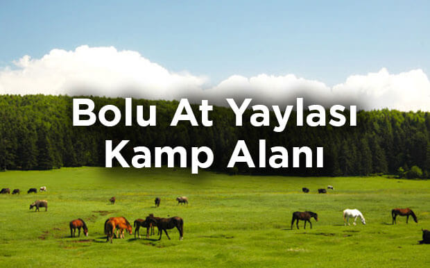Bolu At Yaylası Kamp Alanı- Kızılağıl Köyü
