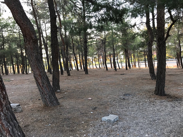 Burdur Kent Ormanı Kamp Alanı