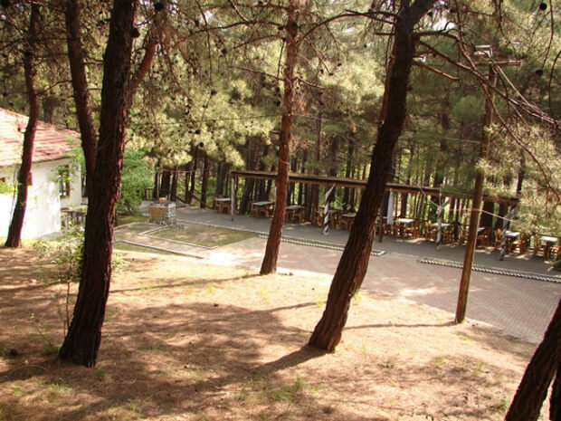 Çamlık Tabiat Parkı Nerede? - Nasıl Gidilir?