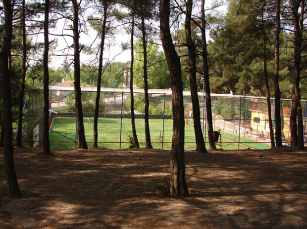 Çamlık Tabiat Parkına Girişler Ücretli Mi?