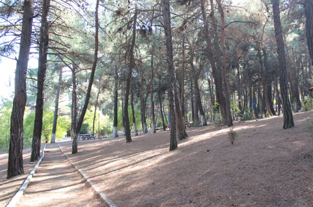 Çamlık Tabiat Parkında Yapabileceğiniz Aktiviteler