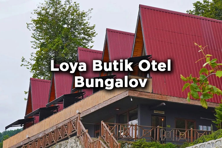 Loya Butik Otel Bungalow- Çayeli Rize