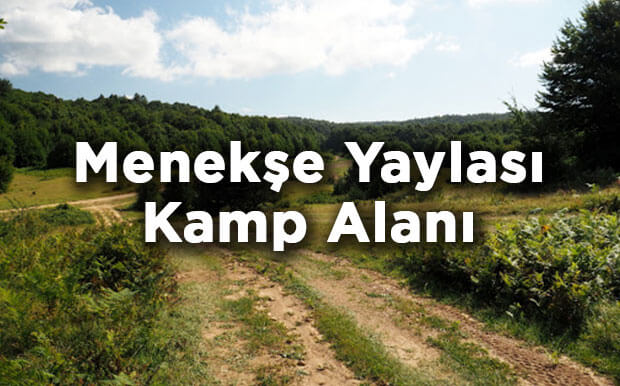 Menekşe Yaylası Kamp Alanı- Kocaeli