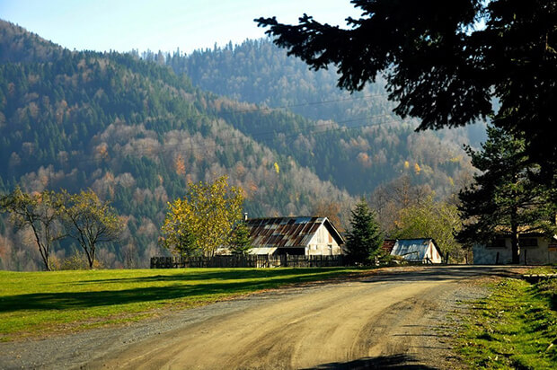 Odayeri Yaylası Kamp Alanı Aktiviteleri