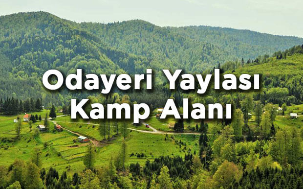 Odayeri Yaylası Kamp Alanı- Düzce