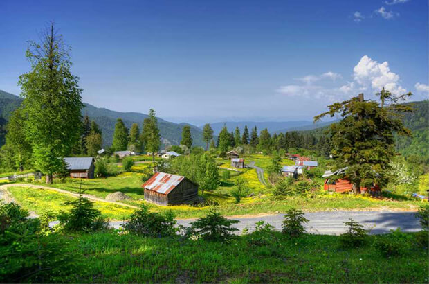 Odayeri Yaylası Kamp Alanı