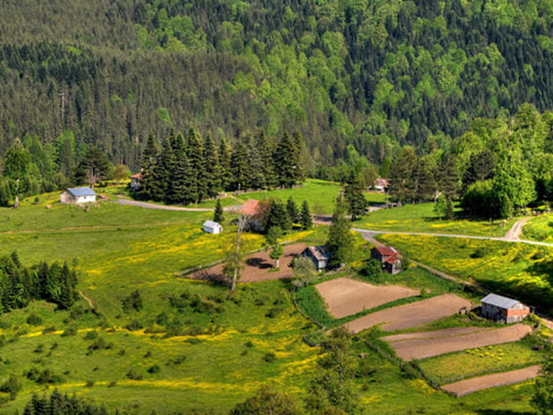 Odayeri Yaylası Ulaşım Bilgisi