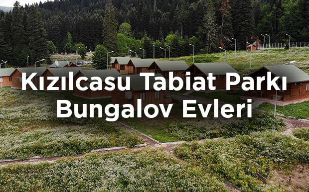 Şenpazar Kızılcasu Tabiat Parkı Bungalov Evleri