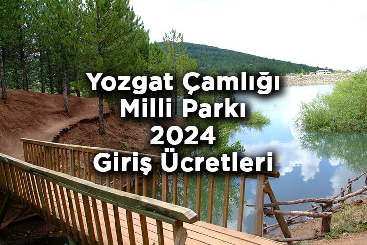 Türkiye'nin İlk Milli Parkı: Yozgat Çamlığı Milli Parkı 2024 Giriş Ücretleri