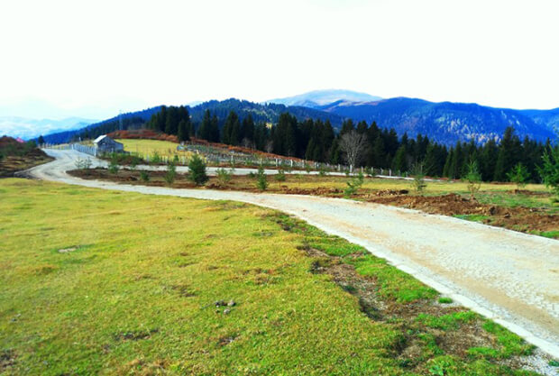 Ağaçbaşı Tabiat Parkı Ulaşım
