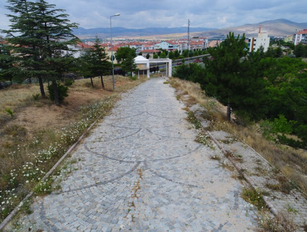 Aşıkpaşa Tabiat Parkı Flora Bilgileri