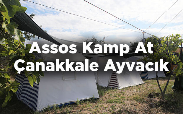 Assos Kamp At - Çanakkale Ayvacık