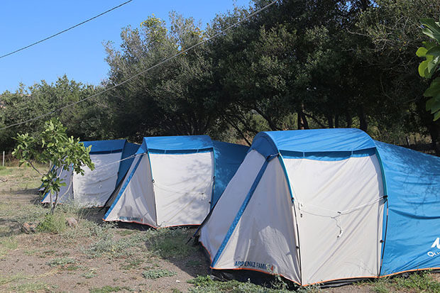 Assos Kamp At İşletmesi İmkanları