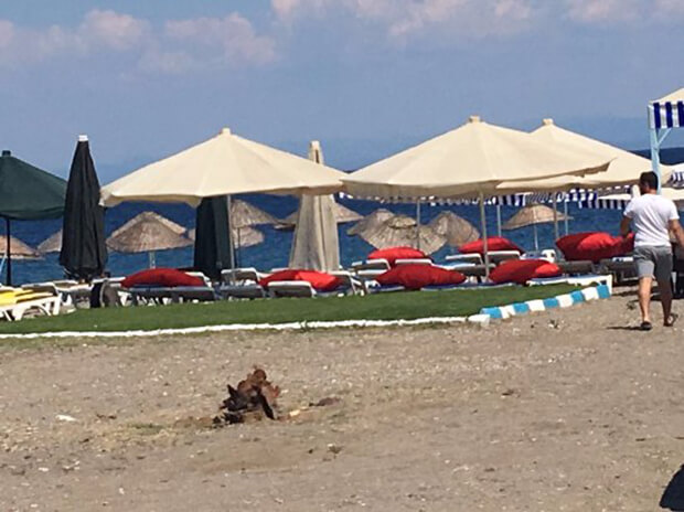 Athena Camping İletişim ve Adres Bilgileri