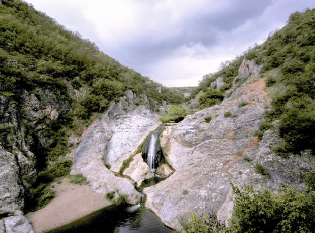Ballıkayalar Tabiat Parkı Flora ve Fauna Bilgileri