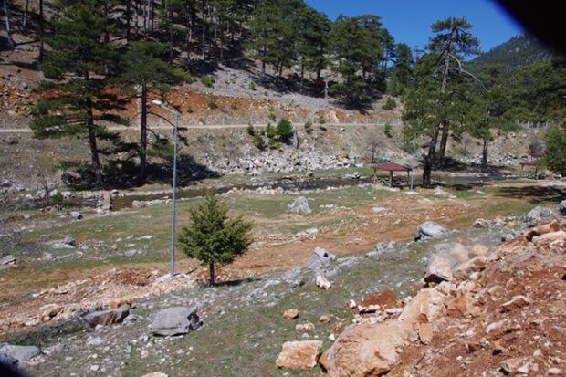 Başpınar Tabiat Parkı Flora Ve Fauna Bilgileri