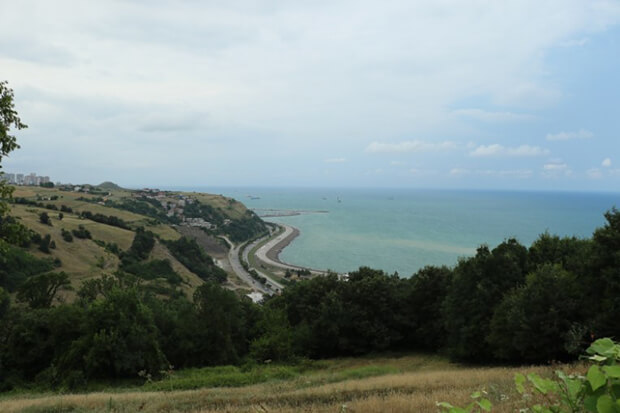 Bayraktepe Tabiat Parkı Flora Ve Fauna Bilgileri