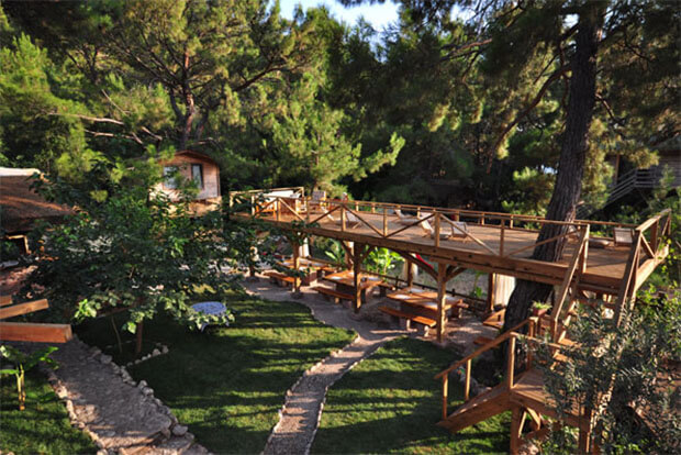 Chakra Beach Kabak Bungalow İşletmesi Aktiviteleri