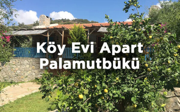 Köy Evi Apart Datça Muğla Palamutbükü Kamp Yerleri