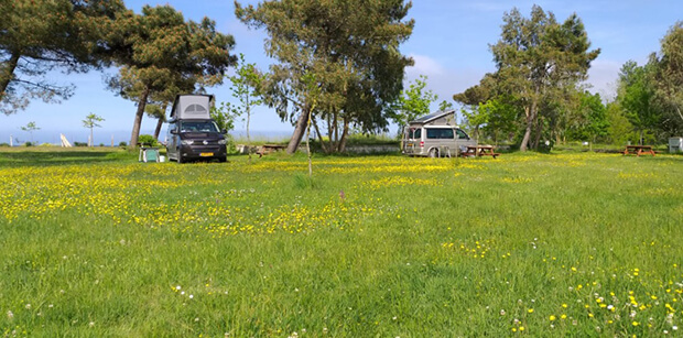 Martı Kamping İletişim Ve Adres Bilgisi