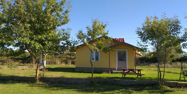 Martı Kamping Kuralları