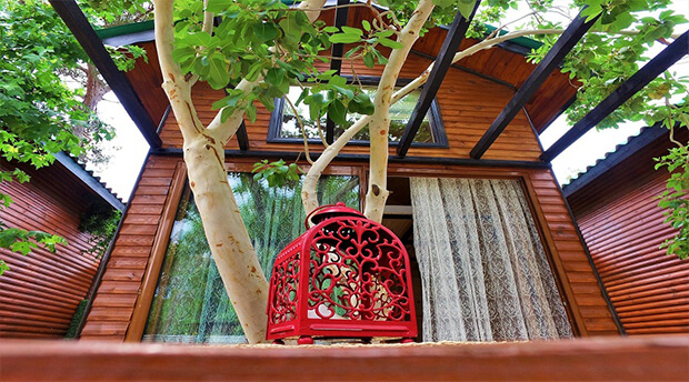 Olympos Koala Bungalow Otel Nerede? - Nasıl Gidilir?