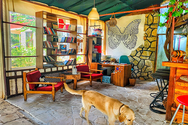 Olympos Koala Bungalows Otel Aktiviteleri