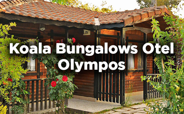 Olympos Koala Bungalows Otel- Antalya