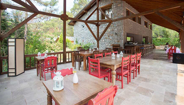 Olympos Village Relaxury Otel İşletmesinde Yapabileceğiniz Aktiviteler