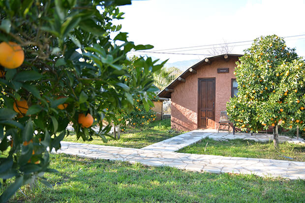 Simurg Evleri Olympos Antalya Kumluca Kamp Yerleri