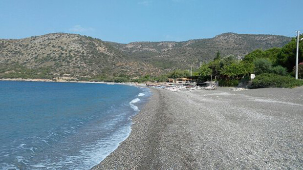 Tardus Bungalov Ahşap Evler Aktiviteleri