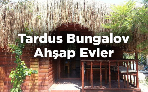Tardus Bungalov Ahşap Evler Mesudiye Ovabükü Kamp Yerleri