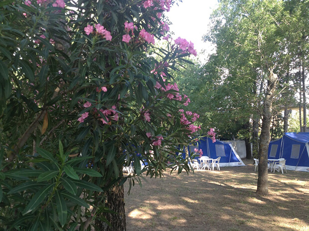 Altın Kamp Fiyatları