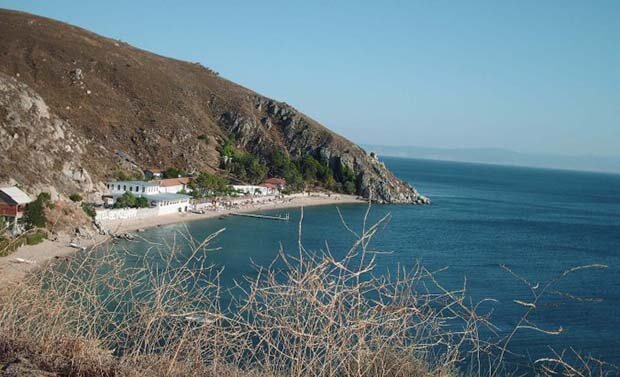 Avşa Adası İletişim Ve Konum Bilgisi