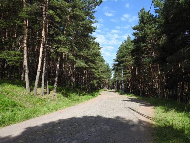 Cemal Tural Tabiat Parkı Aktiviteleri